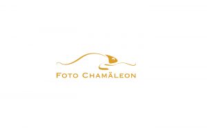 logo-chamaeleon